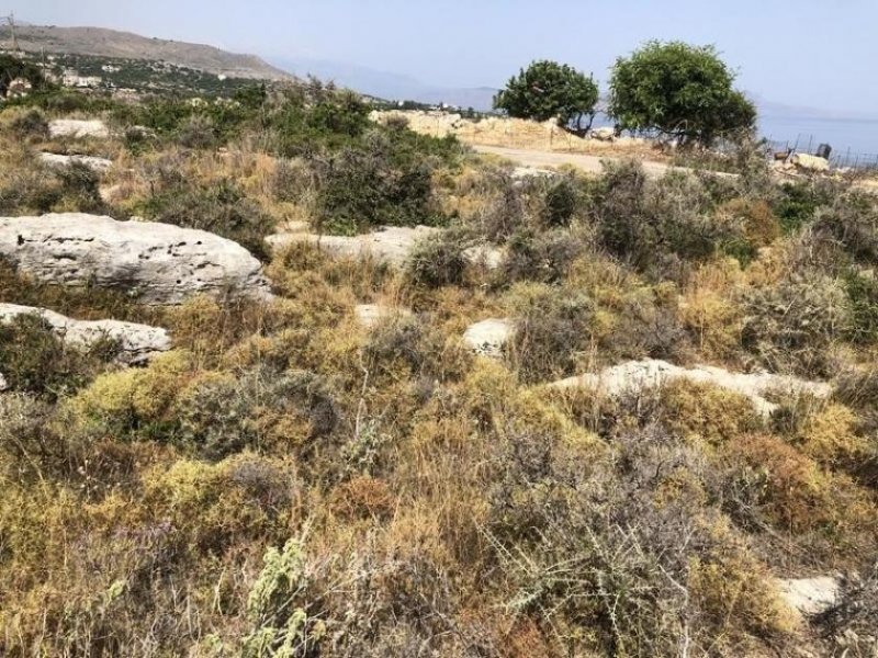 Gerani bei Rethymno Kreta, Gerani: Erstklassiges Grundstück mit Meerblick nahe Rethymno zu verkaufen Grundstück kaufen